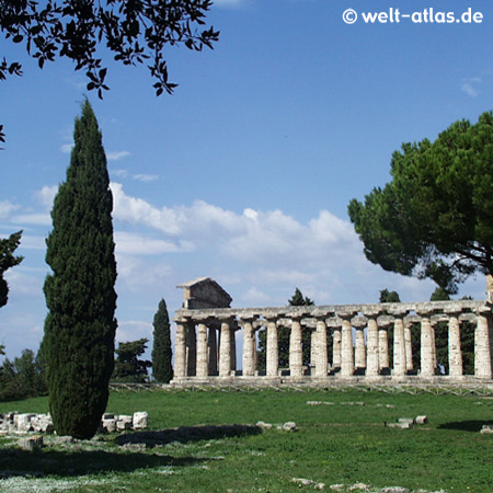 Griechische Tempel, Paestum