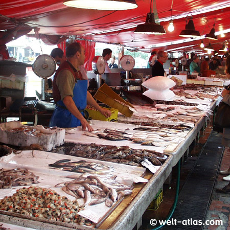 Market in Chioggia, Lagoon of Venice, Veneto, Italy