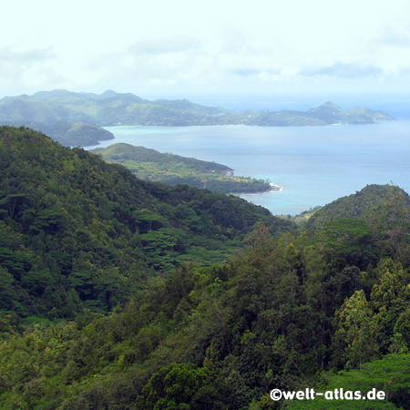 view from tea plantation to Grand´ Anse and Petite Anse, Mahé,
