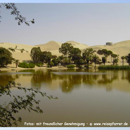 Mächtige Sanddünen in der Oase Huacachina, kleine Lagune mit vielen Palmen. Foto:© www.reisepfarrer.de