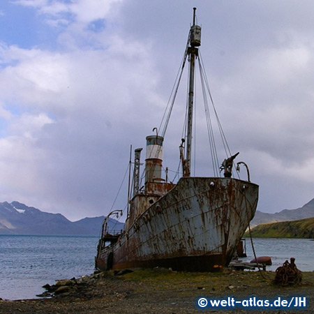 Shipwreck, Grytviken Harbour, South Georgia 
