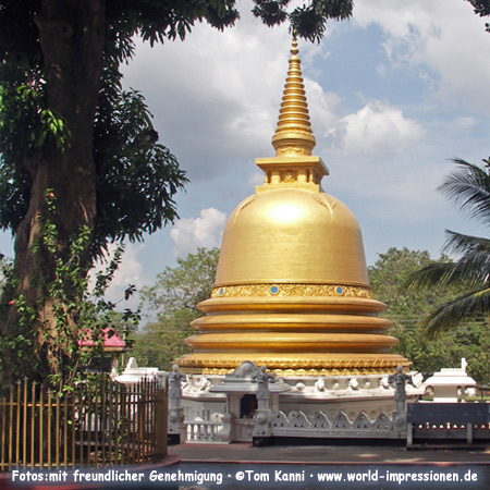 Golden Buddhist stupa, Dambulla, Sri Lanka