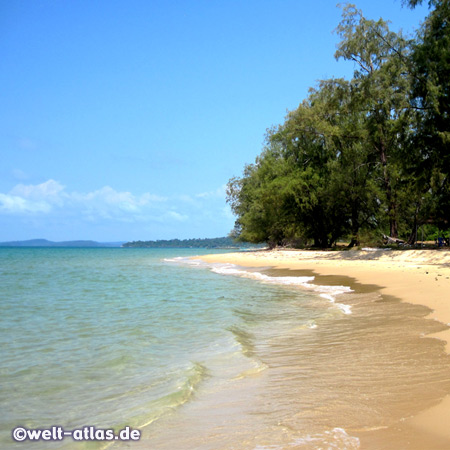 Beautiful Ong Lang beach with palm trees and casuarinas, Phu Quoc Island