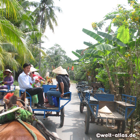 Tour by car, boat and horse cart, Mekong River Delta