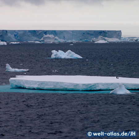 Sea ice and icebergs, South Polar Ocean