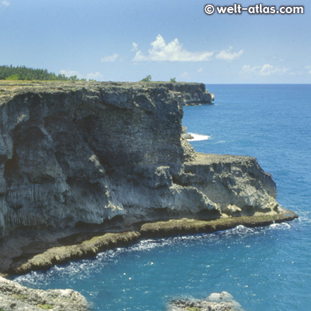 Barbados, felsige Küste am North Point