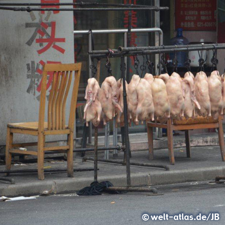 Ducks hang outside in the front of a restaurant, Shanghai