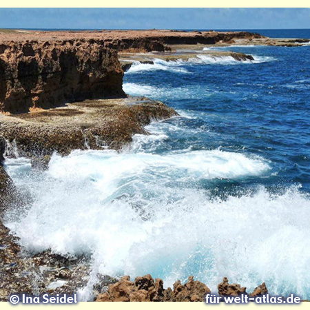 Klippen an der Küste bei Carnarvon - Foto: Copyright Ina Seidel