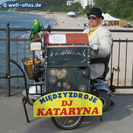 Drehorgelspieler auf der Seebrücke in Misdroy, Polen 