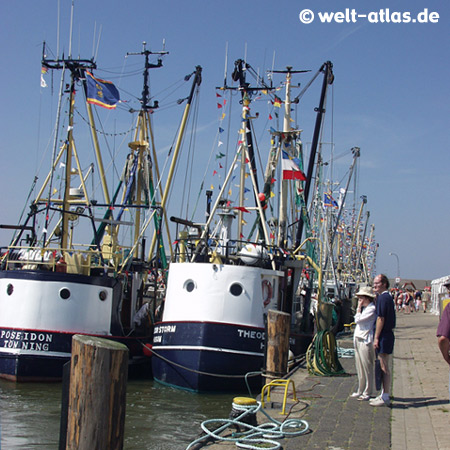 Krabbenkutter am Eidersperrwerk,Eider, Schleswig-Holstein