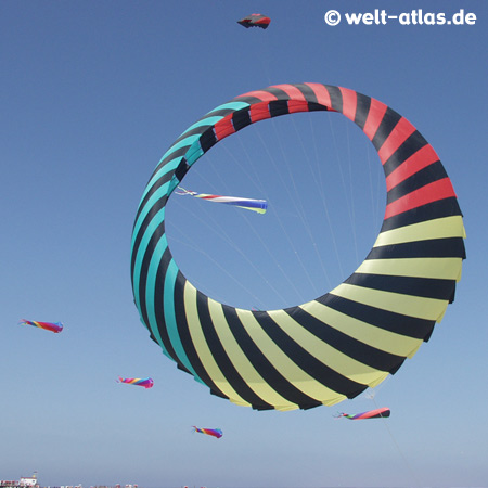 Kites at the beach