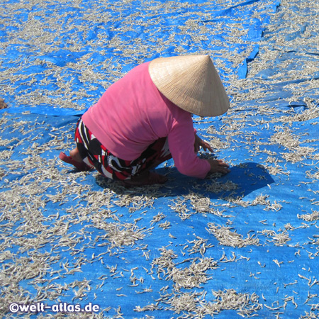 Auf Matten wird Fisch in der Sonne getrocknet, er ist Bestandteil der berühmten Phu Quoc Fish Sauce