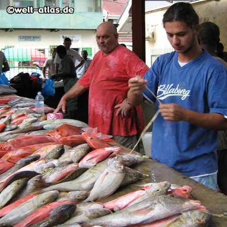 Fischhändler auf dem Markt in Victoria,Seychellen