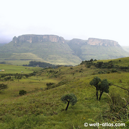 Drakensberge in Kwa-Zulu Natal