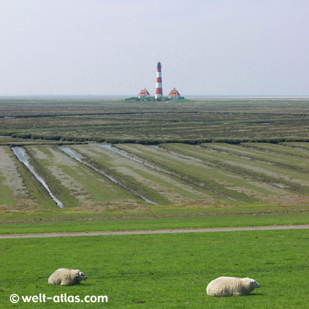 Lighthouse, Westerhever