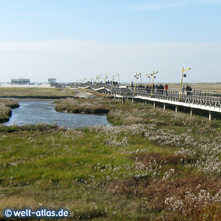 Bridge to the beach in St. Peter-Bad