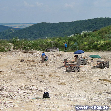 Blick über den Fossilienbesuchersteinbruch Mühlheim im Gailachtal 