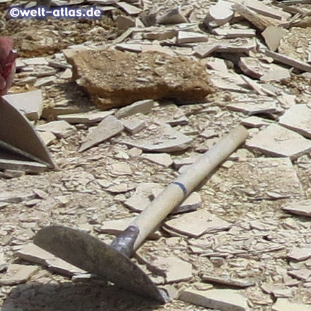 Im Steinbruch Mühlheim können Besucher selbst nach Fossilien buddeln und es gibt auch einen Steinbruchlehrpfad