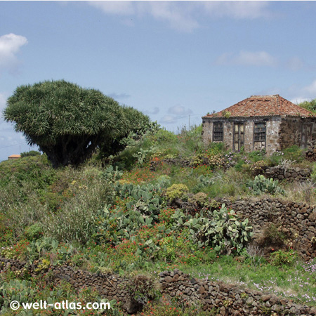 La Palma, Garafia