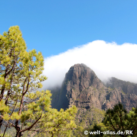 Fels in der Caldera de Taburiente, La Palma, Kanarische Inseln