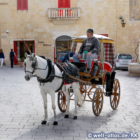 Horse carriage in  Mdina, Malta