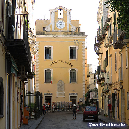 Meeresmuseum von Ischia in Ischia-Ponte, Museo del Mare, Via Giovanni da Procida