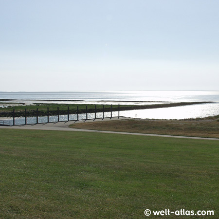Landscape, North sea, Denmark