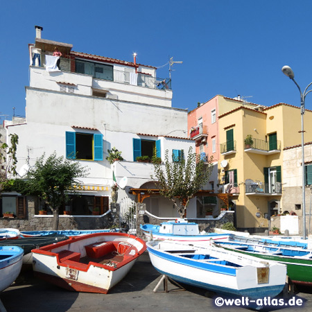 Colourful fishing boats in Ischia Ponte
