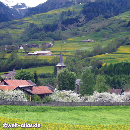 Kirche St. Martin, Zillis, Graubünden, weltberühmt, romanische bemalte Holzdecke, Schweiz
