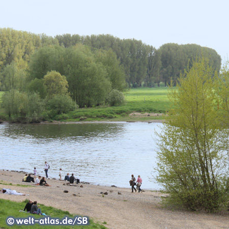 Banks of the Rhine near Benrath