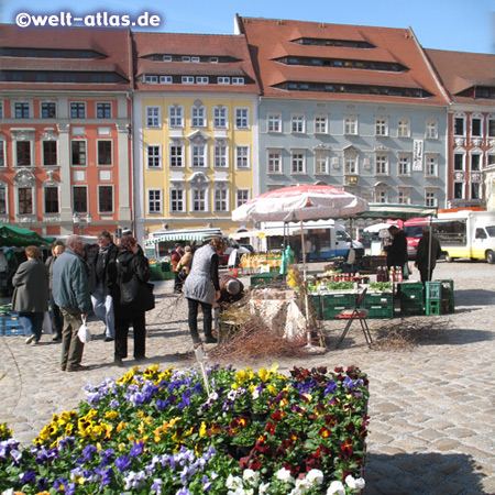 Blumen auf dem Hauptmarkt vor dem Rathaus, Bautzen