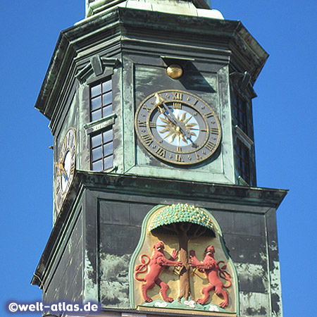 Uhr und Stadtwappen mit roten Löwen und Birnbaum am Turm des Rathauses in Pirna