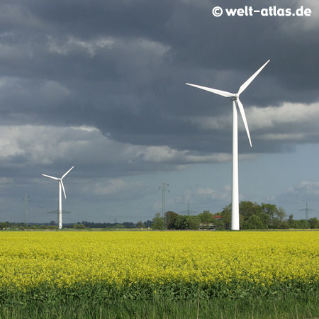 Windräder und Rapsfeld, Wolkenbildung