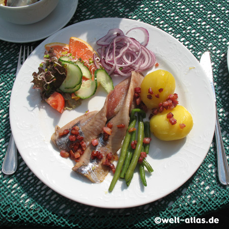 Glückstadt ist berühmt für seine kulinarische Spezialität, den Original Glückstädter Matjes, Kreis Steinburg
