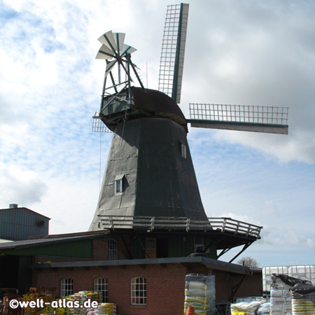 Windmill Anna in Süderhastedt
