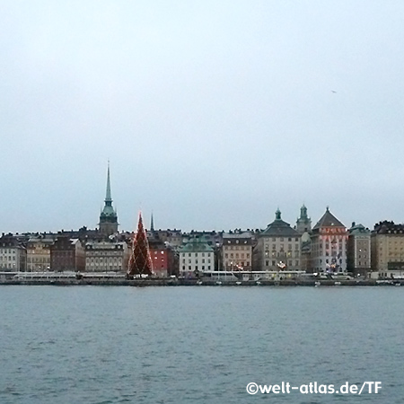 Blick auf Skeppsbron mit Tyska kyrkan(Deutscher Kirche) und riesigem Christbaum