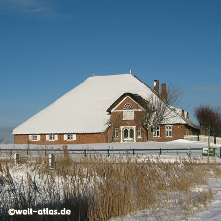 Winter in Knutzenswarft, Eiderstedt