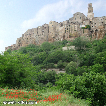 Pitigliano, blühender Mohn, Hochplateau, Tuffsteinfelsen, südl. Toskana, 