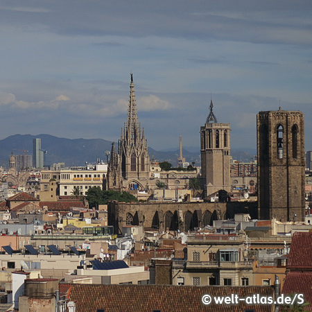 Cathedral of the Holy Cross and Saint Eulalia, Gothic Quarter