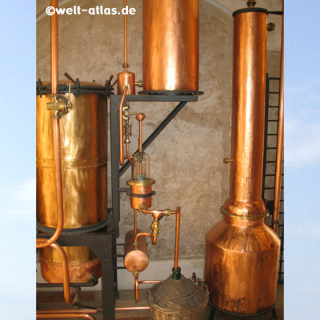 Grappa Museum in Bassano del Grappa