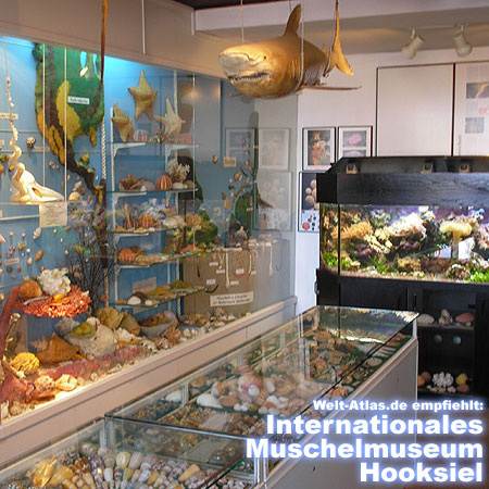 You'll find the museum in 26434 Hooksiel, Lange Straße 18