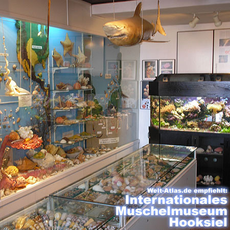 You'll find the museum in 26434 Hooksiel, Lange Straße 18