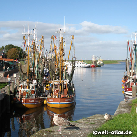 Krabbenkutter im Hafen von Greetsiel an der Leybucht, Ostfriesland 
