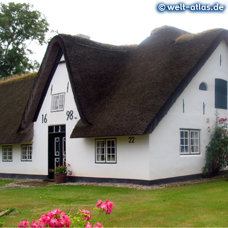 Typisches Friesenhaus in Keitum auf Sylt mit Reetdach