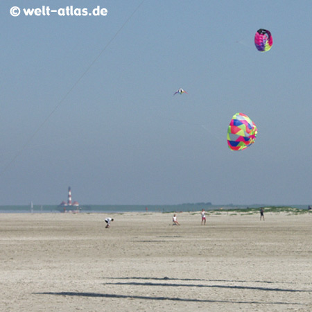 Kites at the beach