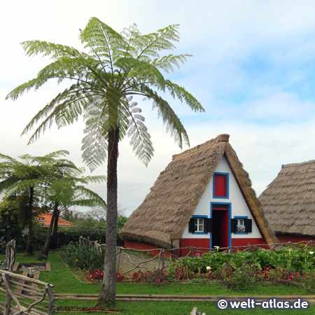 Casas de Colmo in Santana, traditional Madeira styled thatched house
