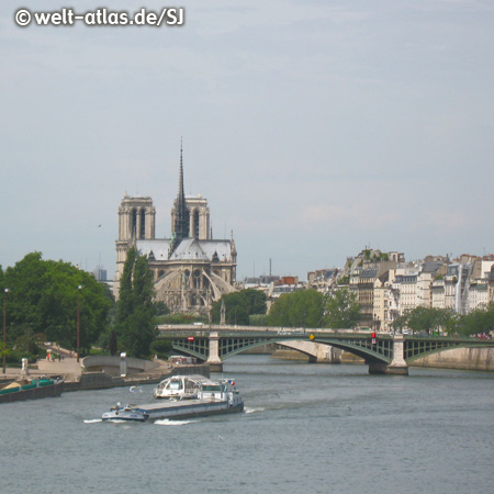 Seine Bridge and the Cathedral Notre Dame de Paris