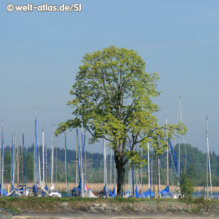 Segelboote am Chiemsee, größter See in Bayern