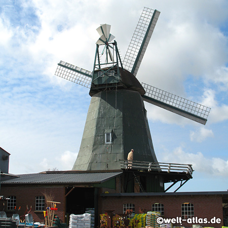 Windmühle Anna, Galerieholländermühle und Landhandel in Süderhastedt 