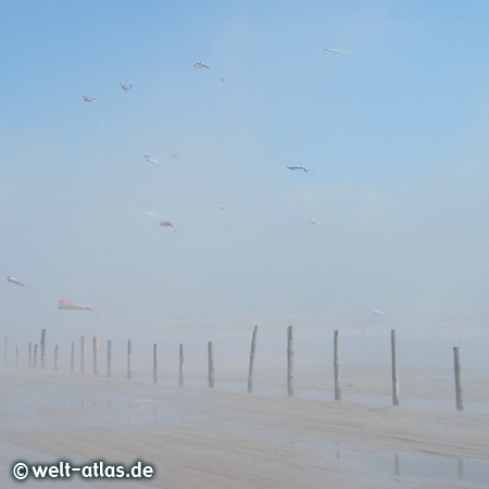 On the enormous beach of St. Peter-Ording, the kites float above the dense fog